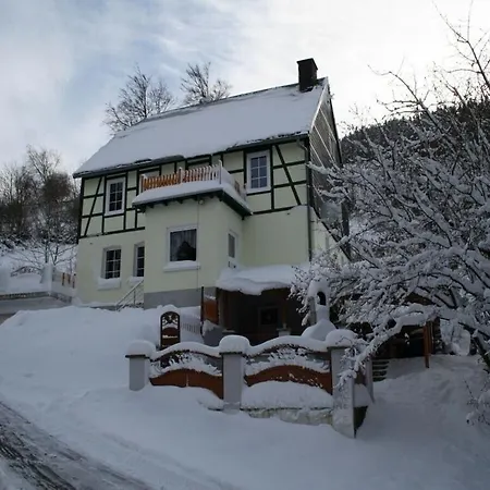 Near The Area Ferienhaus Willingen (Upland)
