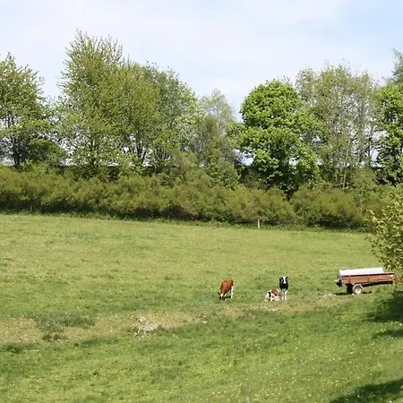 Tatil Evi Near The Area