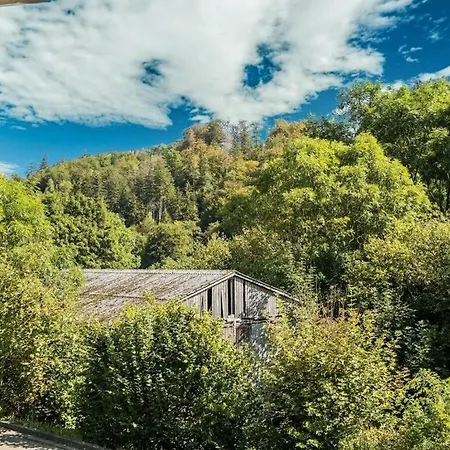 Near The Area Tatil Evi