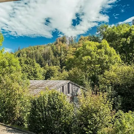 Near The Area Tatil Evi Willingen (Upland)
